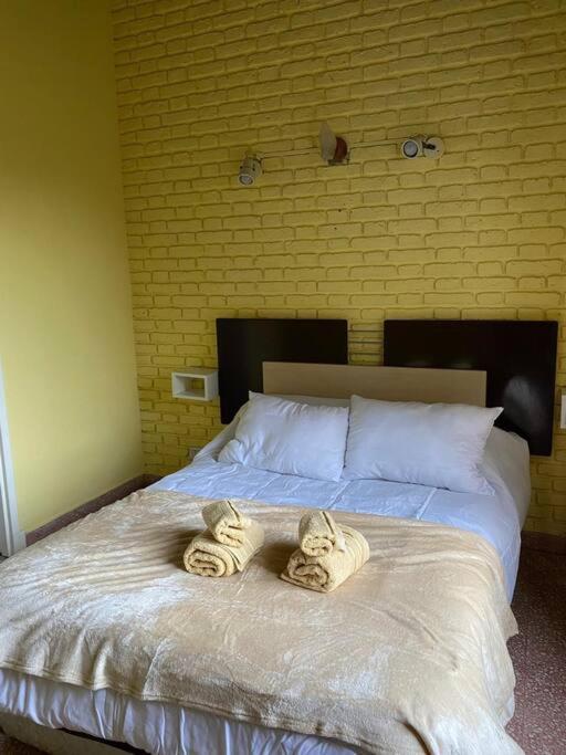 Departamento En Miramar Apartamento